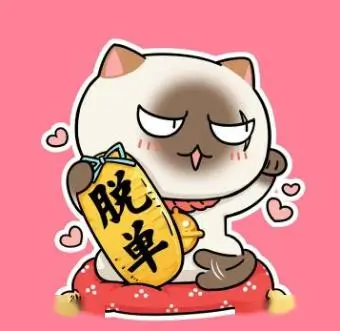 追番的猫 的头像